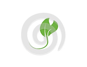 Green leaf, Eco icon on white background. Vector illustration.