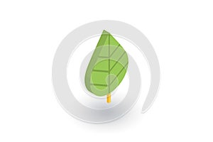 Green leaf, eco isometric flat icon. 3d vector