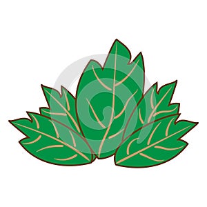 The green leaf five items.