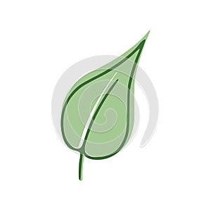 Green Leaf flat icon isolated on white background