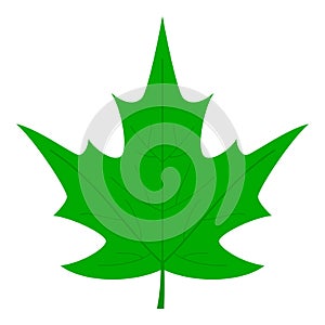 Green Leaf Flat Icon Isolated on White