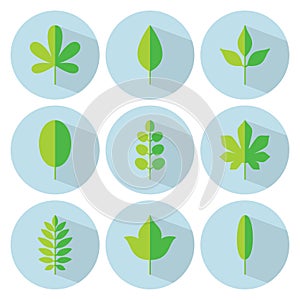 Green leaf flat icon set. Vector collection. Tree leaves. Eco lo