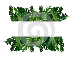 Green leaf frame with banana leaves high resolution