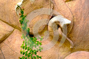 Green leaf hanging on stucco elehhant in Wat Pha Lat Monk`s Trail