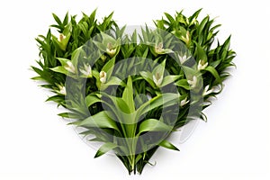 Green leaf heart symbol on white background, love for nature concept with plants and leaves