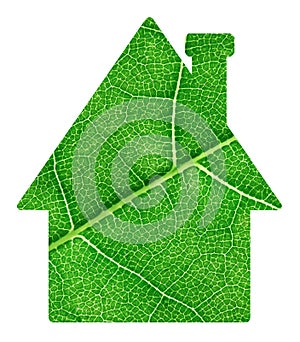 Green leaf house symbol