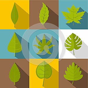 Green leaf icon set, flat style