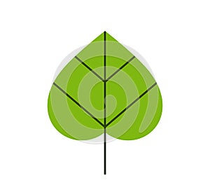 Green leaf icon. Tilia leaf flat design.