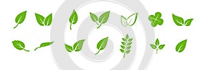 Green leaf icons set. Elements design for natural, eco, vegan. Leaves icon on isolated background. Collection green leaf