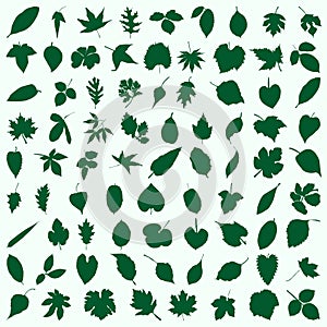 Green leaf icons set on white background