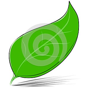 Green leaf isolated on white vector illustration