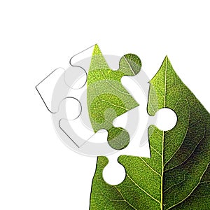 Green leaf jigsaw