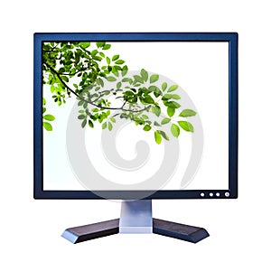 Green leaf in lcd monitor isolated