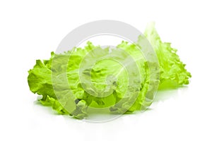 Green leaf lettuce