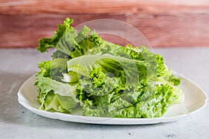 Green leaf lettuce on white plate close-up