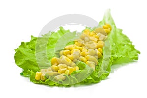 Green leaf lettuce and yellow corn