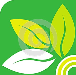 Green leaf logo