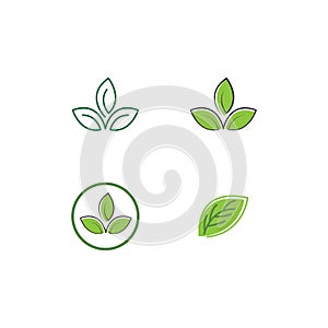 Green leaf logo