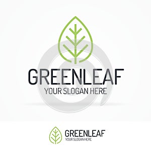 Green leaf logo set clean line style