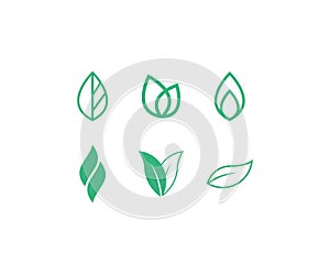 Green leaf logo set vector