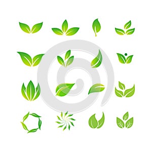 Green leaf logo set. Vector leaf icon. Bio, vegan or pharmacy concept.