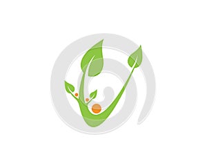 Green leaf logo vector icon