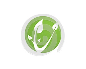 Green leaf logo vector icon