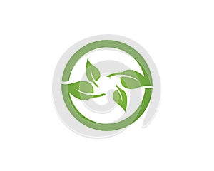 Green leaf logo vector icon