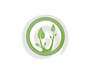 Green leaf logo vector icon