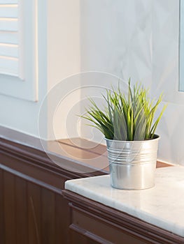 Green leaf in metal bucket on a counter