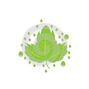 Green leaf min icon design vector template