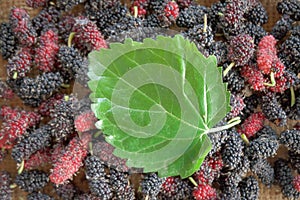 Green leaf on mulberry fruits texture