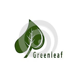 Green Leaf Nature Plant Conceptual Symbol Vector Illustration