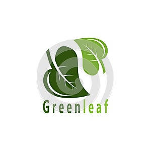 Green Leaf Nature Plant Conceptual Symbol Vector Illustration