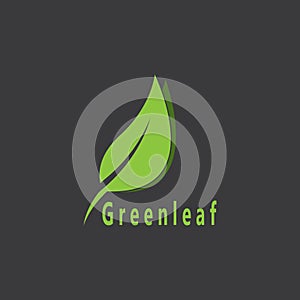 Green Leaf Nature Plant Conceptual Symbol Vector Illustration