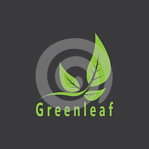 Green Leaf Nature Plant Conceptual Symbol Vector Illustration