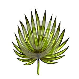Green leaf of palm tree isolated on white background. Palm leaf icon.