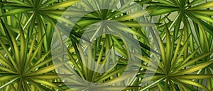 Green leaf pattern background, nature background