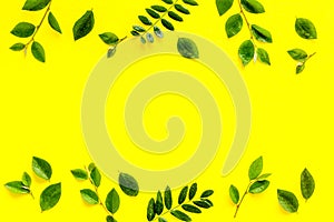 Green leaf pattern frame. Leaves branches top view