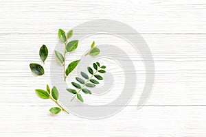 Green leaf pattern frame. Leaves branches top view