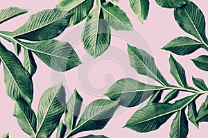 green leaf pattern on pink