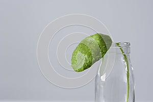 Green leaf from a Pilea peperomioides with water drops in a small bottle