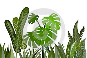 Green leaf plant for natural white background ,Illustration flat design