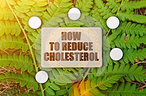 On a green leaf of the plant are pills and a sign with the inscription - How to Reduce Cholesterol