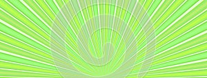 Green leaf rays fractal sunshine. Abstract background texture wallpaper pattern vector illustration graphic design modern style