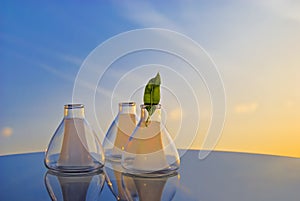 Green leaf in retort