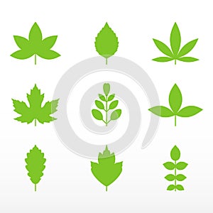 Green leaf set. Growth symbol icon.