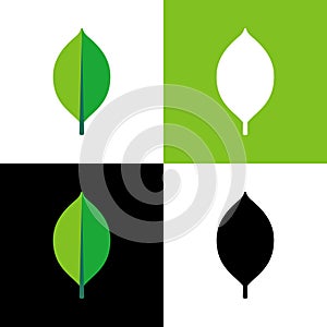 Green leaf set, vector illustration design - Vector