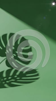 Green Leaf Shadow Pattern on Surface with Light and Dark Shades