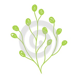 Green leaf sketch. Hand drawn vector illustration. Pen or marker doodle plant